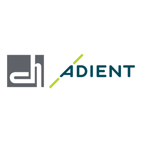 Diniz Adient
